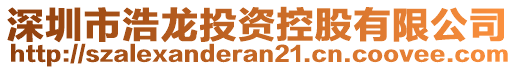 深圳市浩龍投資控股有限公司