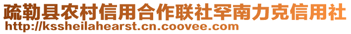 疏勒縣農(nóng)村信用合作聯(lián)社罕南力克信用社