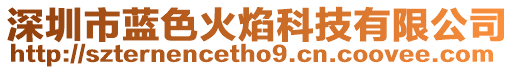 深圳市藍(lán)色火焰科技有限公司