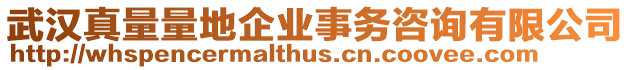 武漢真量量地企業(yè)事務咨詢有限公司