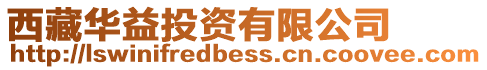 西藏華益投資有限公司