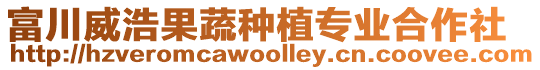 富川威浩果蔬種植專業(yè)合作社