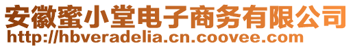 安徽蜜小堂電子商務有限公司