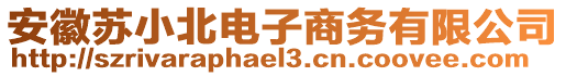 安徽蘇小北電子商務(wù)有限公司