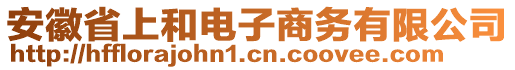 安徽省上和電子商務(wù)有限公司