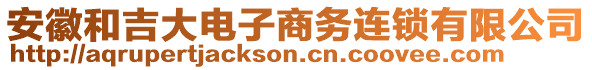 安徽和吉大電子商務(wù)連鎖有限公司