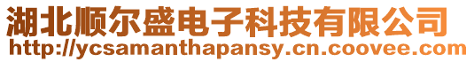 湖北順爾盛電子科技有限公司