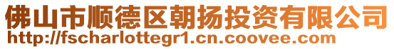 佛山市順德區(qū)朝揚(yáng)投資有限公司