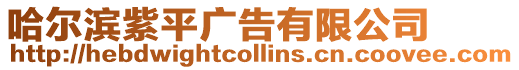 哈爾濱紫平廣告有限公司