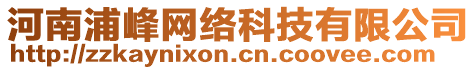 河南浦峰網(wǎng)絡(luò)科技有限公司