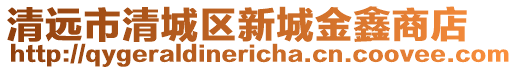 清遠市清城區新城金鑫商店