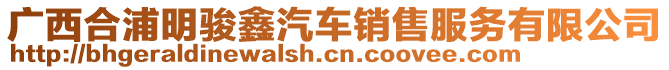 廣西合浦明駿鑫汽車(chē)銷(xiāo)售服務(wù)有限公司