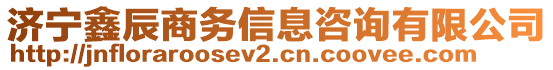 濟(jì)寧鑫辰商務(wù)信息咨詢有限公司