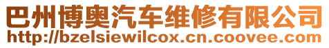 巴州博奧汽車維修有限公司