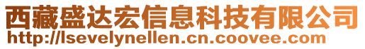 西藏盛達(dá)宏信息科技有限公司