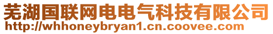 蕪湖國聯網電電氣科技有限公司