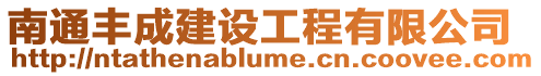 南通豐成建設(shè)工程有限公司