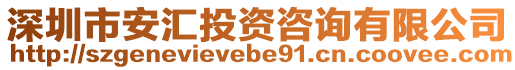 深圳市安匯投資咨詢有限公司