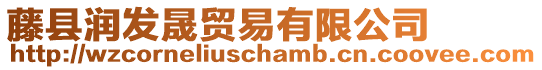 藤縣潤發晟貿易有限公司
