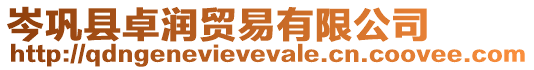 岑鞏縣卓潤貿易有限公司