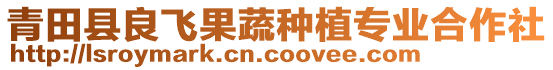 青田縣良飛果蔬種植專業(yè)合作社