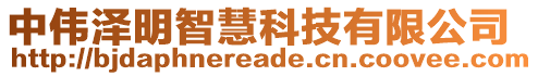 中偉澤明智慧科技有限公司