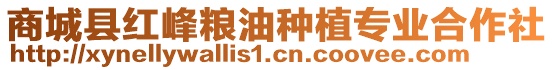 商城縣紅峰糧油種植專業(yè)合作社