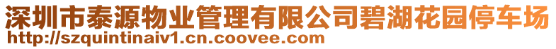 深圳市泰源物業(yè)管理有限公司碧湖花園停車場