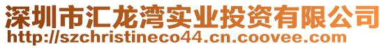 深圳市匯龍灣實業投資有限公司