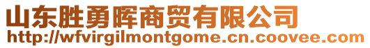 山東勝勇暉商貿(mào)有限公司