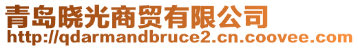 青島曉光商貿(mào)有限公司