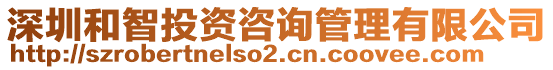 深圳和智投資咨詢管理有限公司