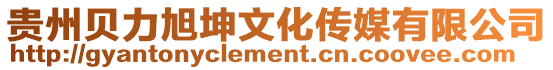 貴州貝力旭坤文化傳媒有限公司