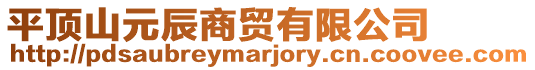 平頂山元辰商貿(mào)有限公司