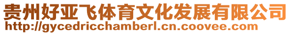 貴州好亞飛體育文化發展有限公司