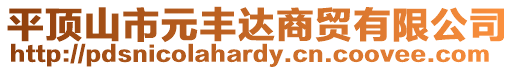 平頂山市元豐達商貿有限公司