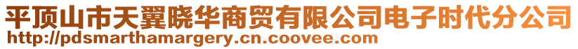 平頂山市天翼曉華商貿有限公司電子時代分公司