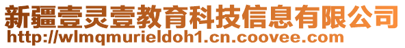 新疆壹靈壹教育科技信息有限公司