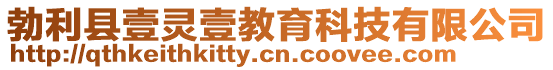 勃利縣壹靈壹教育科技有限公司