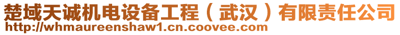 楚域天誠機(jī)電設(shè)備工程（武漢）有限責(zé)任公司