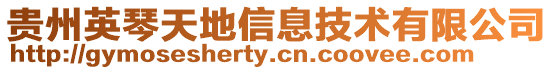貴州英琴天地信息技術有限公司