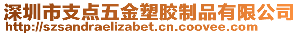 深圳市支點(diǎn)五金塑膠制品有限公司