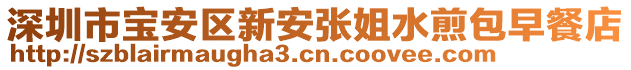 深圳市寶安區(qū)新安張姐水煎包早餐店