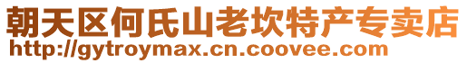 朝天區何氏山老坎特產專賣店
