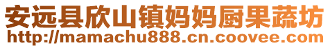 安遠縣欣山鎮(zhèn)媽媽廚果蔬坊