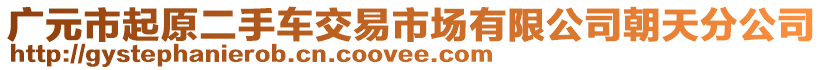 廣元市起原二手車交易市場有限公司朝天分公司