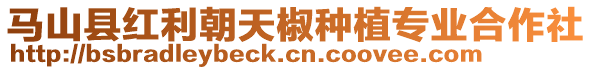 馬山縣紅利朝天椒種植專業合作社