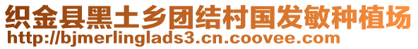 織金縣黑土鄉(xiāng)團(tuán)結(jié)村國(guó)發(fā)敏種植場(chǎng)