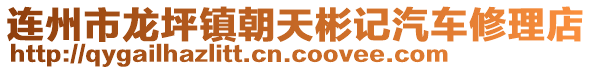 連州市龍坪鎮(zhèn)朝天彬記汽車修理店