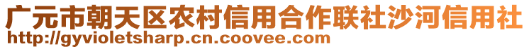 廣元市朝天區(qū)農(nóng)村信用合作聯(lián)社沙河信用社